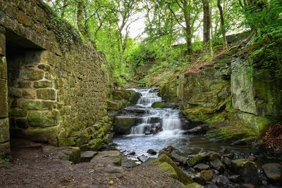 Stream flowing through rocks in forest