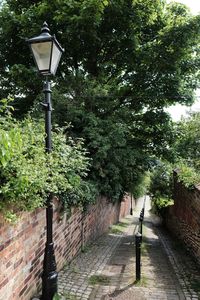 Walkway by street light against trees