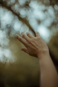 Close-up of hand against tree