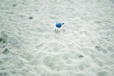 View of rippled water