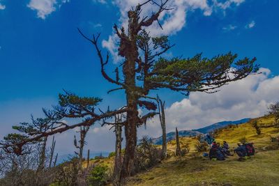 Low angle view of people sitting on tree against sky