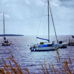 Boats in sea