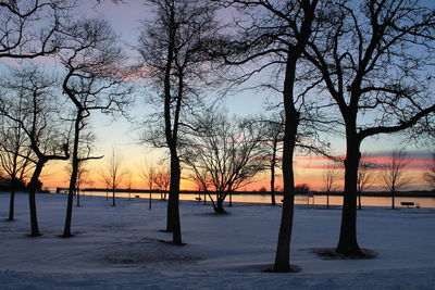 Bare trees on landscape at sunset