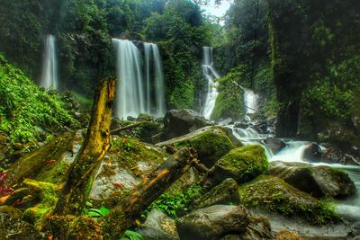 Scenic view of waterfall in forest
