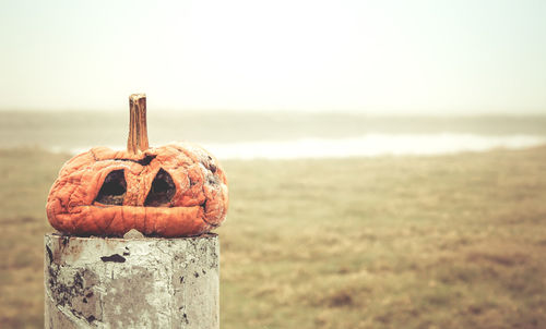 Rotten pumpkin on wooden post over field during foggy weather