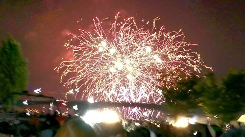 Low angle view of firework display at night