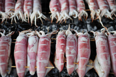 Close-up of squid for sale in market