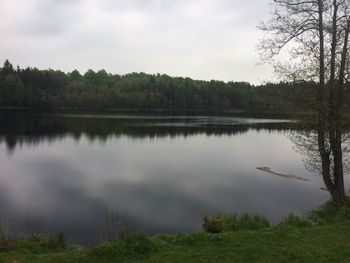 Scenic view of lake in forest against sky