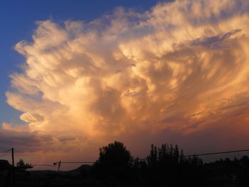 Low angle view of silhouette trees against sky during sunset