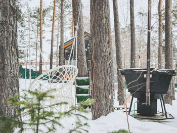 Empty chairs in forest