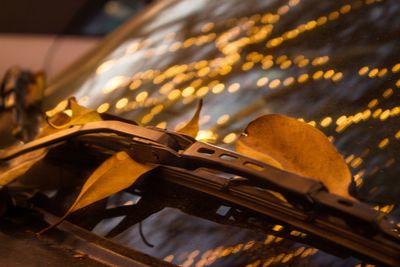 Reflection of illuminated lights on car windshield