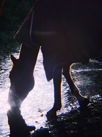 Reflection of woman in water