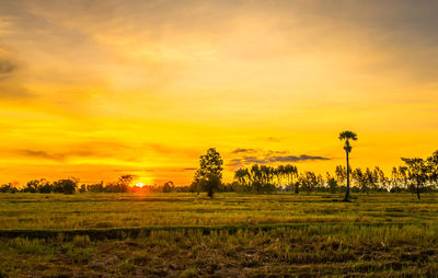 Scenic view of field against sky during sunset