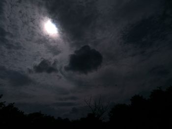 Low angle view of silhouette trees against sky at night