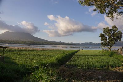 Scenic view of landscape against sky