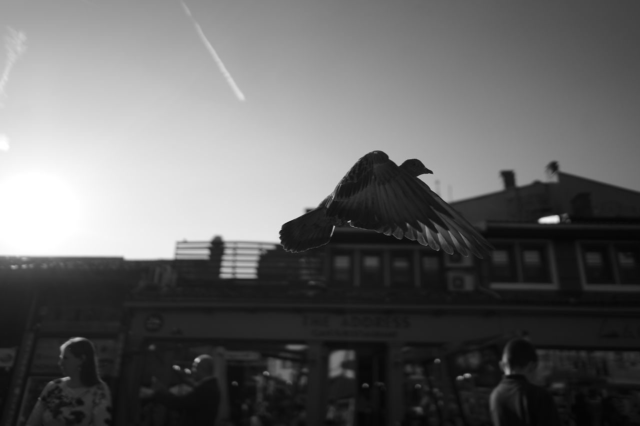 PEOPLE ON ROOF OF BUILDING