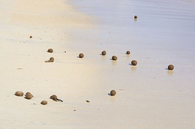 High angle view of pebbles on beach