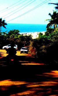 View of palm trees by sea