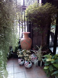 Potted plants in flower pot