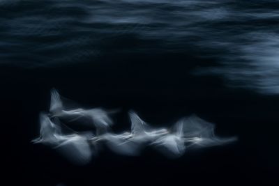 Close-up of water at night