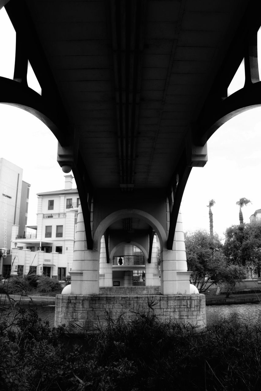 architecture, built structure, bridge, bridge - man made structure, connection, transportation, building exterior, day, plant, no people, architectural column, low angle view, city, nature, tree, arch, outdoors, building, water, arch bridge, underneath