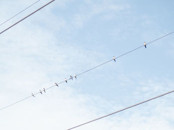 Low angle view of birds perching on cable