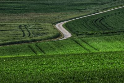 Winding road with a tranquil landscape on a sunny day