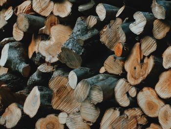 Full frame shot of wooden logs in forest