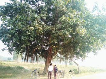 Rear view of people walking on road amidst trees