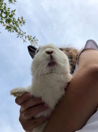 Low angle view of girl carrying rabbit against sky