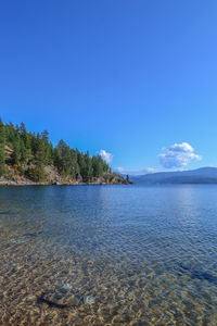Scenic view of sea against blue sky