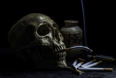 Close up of skull on table