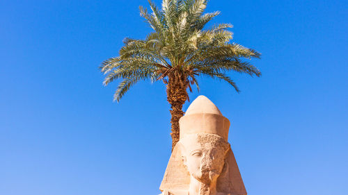 Low angle view of palm tree against clear blue sky