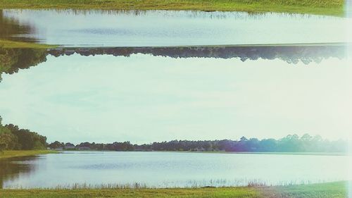 Reflection of trees in calm lake