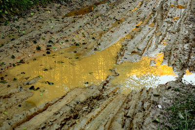 Traces of cars in the mud