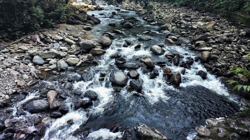 Scenic view of pebbles in forest