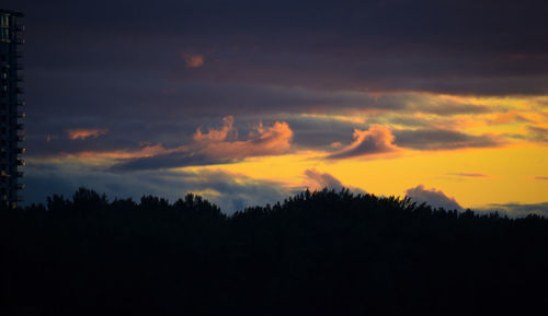 Silhouette trees against sky during sunset