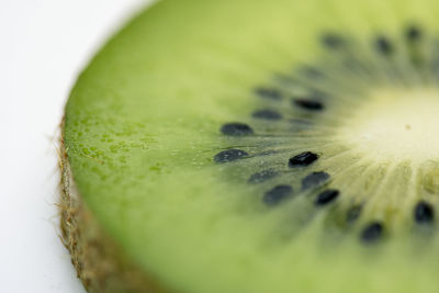 Close-up of lemon slice over white background