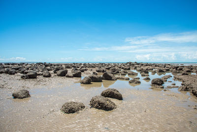 Rocks on beach against blue sky