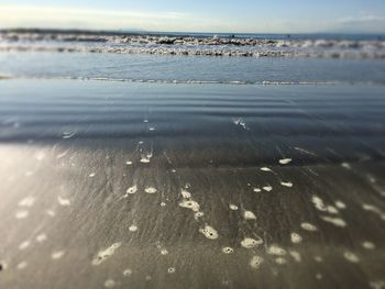 Close-up of water on beach against sky