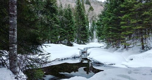 Scenic view of waterfall in forest during winter