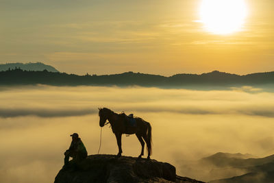 Silhouette horse on mountain against sky during sunset