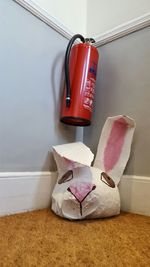 Close-up of food on table