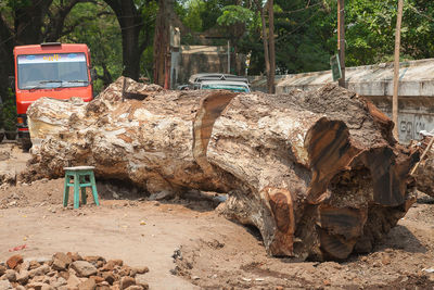 Abandoned construction site by trees