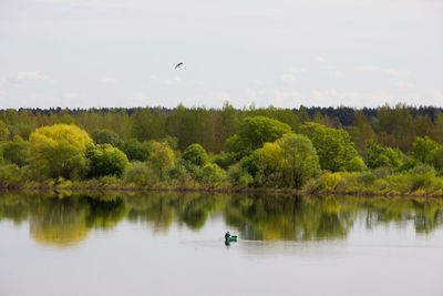 Scenic view of lake by trees against sky