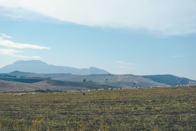 Scenic view of landscape against sky