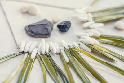 Close up necklace with grass and white gems concept photo