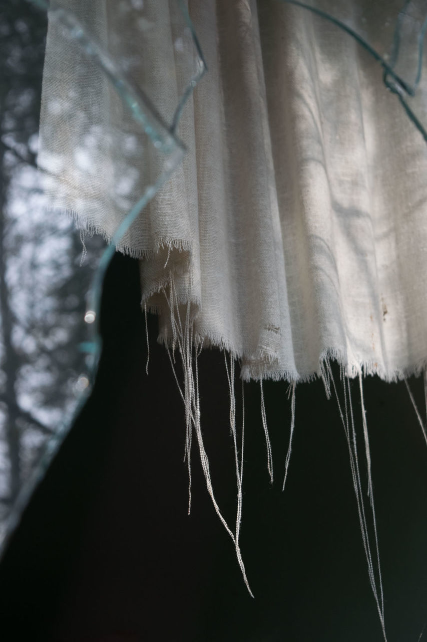 CLOSE-UP OF SNOW HANGING ON WOOD