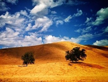 Scenic view of landscape against cloudy sky