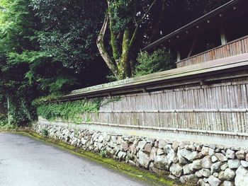 Stone wall by road against trees